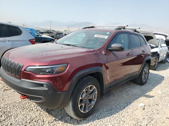 1C4PJMBX4LD575325 - 2020 JEEP CHEROKEE TRAILHAWK MAROON photo 1