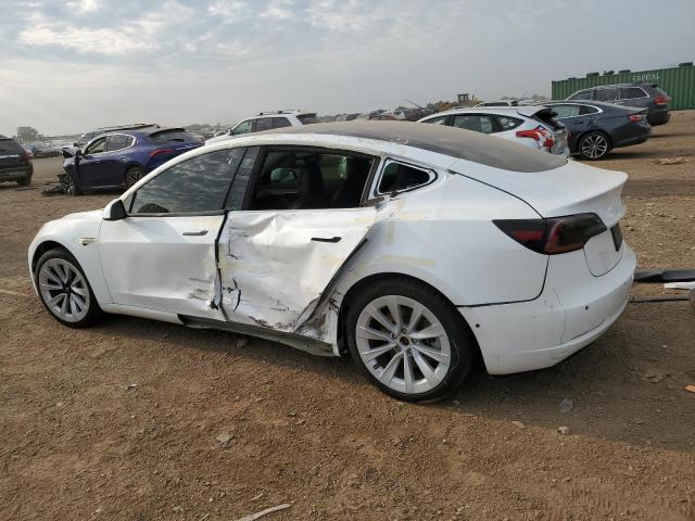 5YJ3E1EAXMF058842 - 2021 TESLA MODEL 3 Ağ foto 2