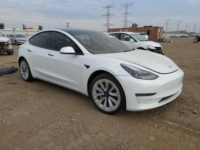 5YJ3E1EAXMF058842 - 2021 TESLA MODEL 3 Ağ foto 4