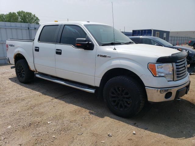 1FTFW1EV1AFD11454 - 2010 FORD F150 SUPERCREW WHITE photo 4