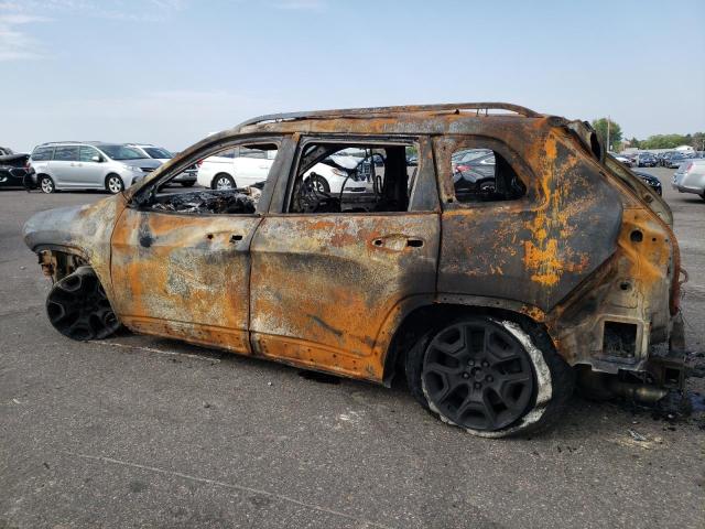 1C4PJMBXXMD154324 - 2021 JEEP CHEROKEE TRAILHAWK დამწვარი ფოტო 2