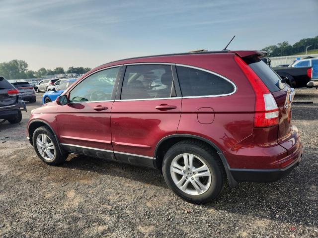 5J6RE4H78BL046964 - 2011 HONDA CR-V EXL RED photo 2
