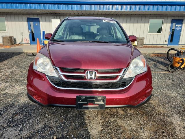 5J6RE4H78BL046964 - 2011 HONDA CR-V EXL RED photo 5