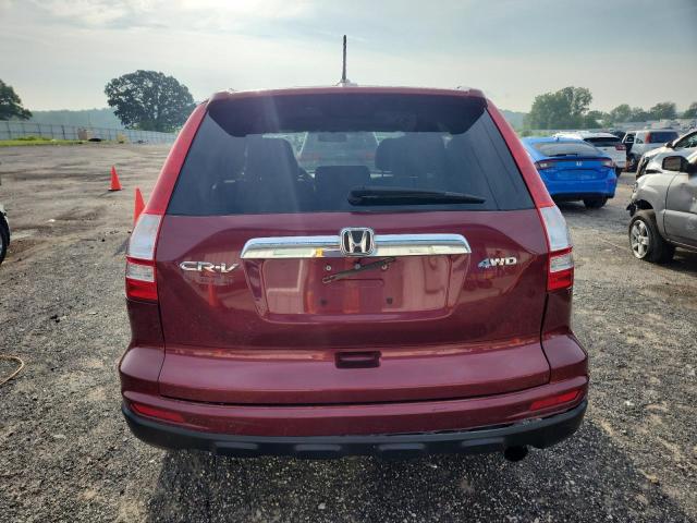 5J6RE4H78BL046964 - 2011 HONDA CR-V EXL RED photo 6