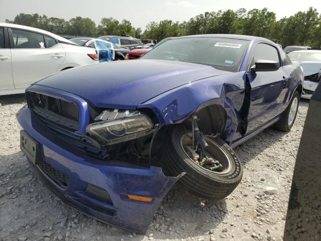 1ZVBP8AM3D5274691 - 2013 FORD MUSTANG BLUE photo 1