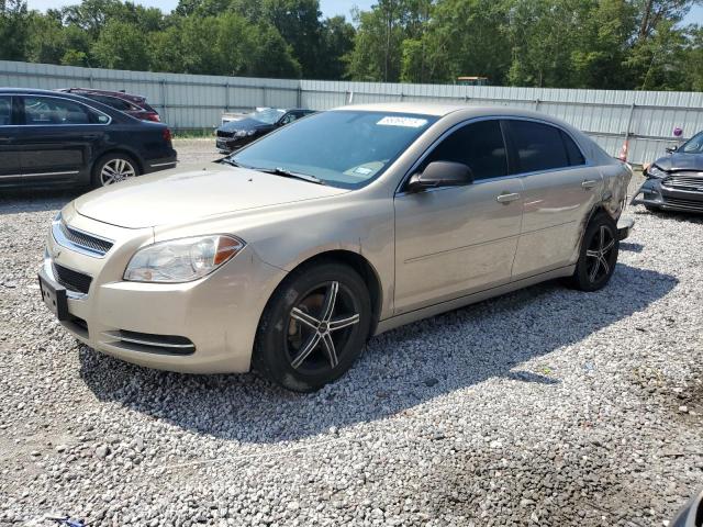 2009 CHEVROLET MALIBU LS, 