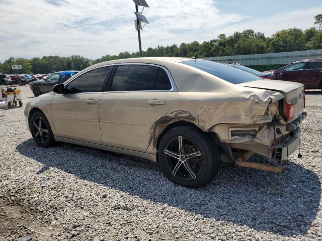 1G1ZG57B094206957 - 2009 CHEVROLET MALIBU LS TAN photo 2