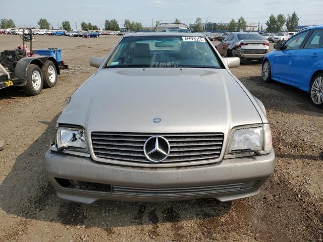 WDBFA67E4SF109684 - 1995 MERCEDES-BENZ SL 500 SILVER photo 5