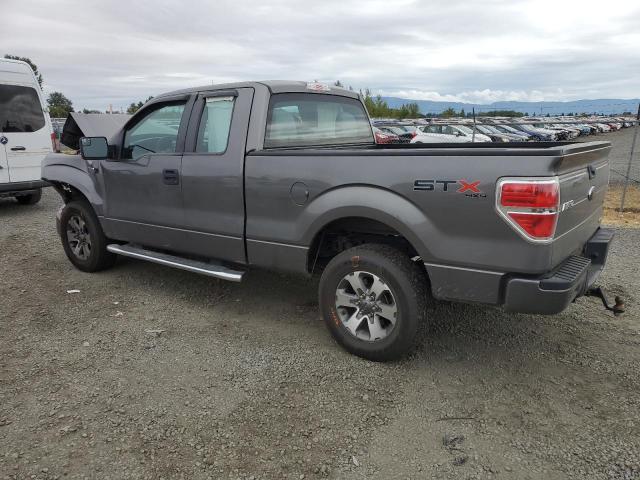 1FTFX1EF9DFD49136 - 2013 FORD F150 SUPER CAB GRAY photo 2