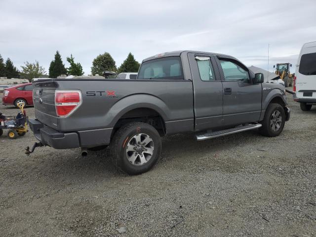 1FTFX1EF9DFD49136 - 2013 FORD F150 SUPER CAB GRAY photo 3