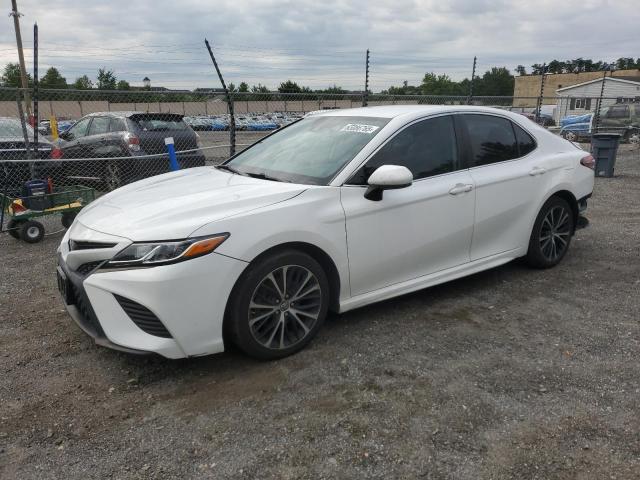 2019 TOYOTA CAMRY L, 