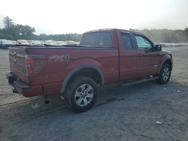 1FTFX1ET3EKD08273 - 2014 FORD F150 SUPER CAB ORANGE photo 3