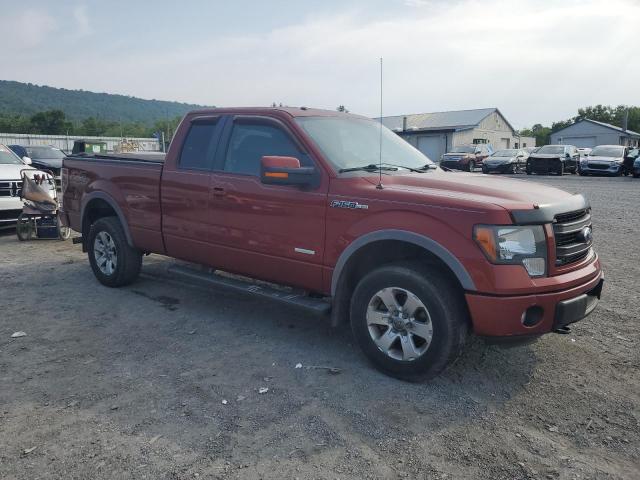 1FTFX1ET3EKD08273 - 2014 FORD F150 SUPER CAB ORANGE photo 4