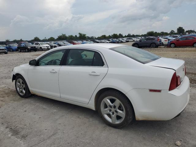 1G1ZA5EU1BF195533 - 2011 CHEVROLET MALIBU LS თეთრი ფოტო 2