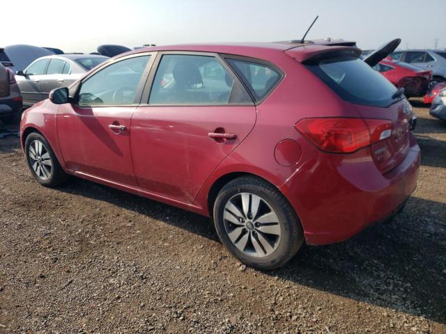 KNAFU5A27D5650011 - 2013 KIA FORTE EX RED photo 2