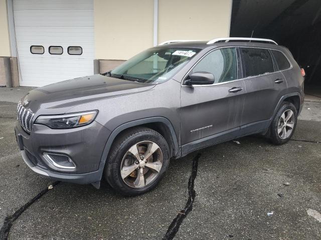 1C4PJMDX7KD172774 - 2019 JEEP CHEROKEE LIMITED GRAY photo 1