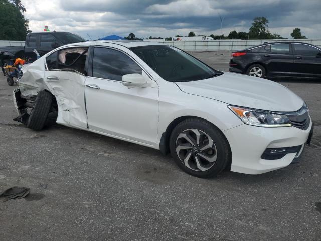 1HGCR3F84HA043247 - 2017 HONDA ACCORD EXL WHITE photo 4