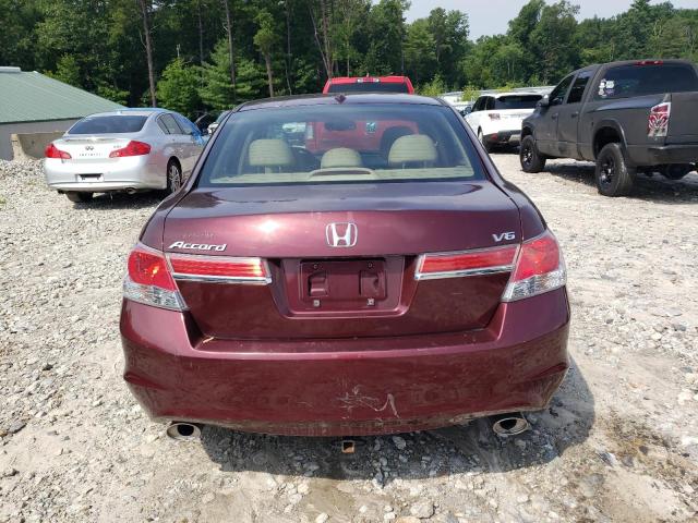 1HGCP3F80CA030591 - 2012 HONDA ACCORD EXL BURGUNDY photo 6