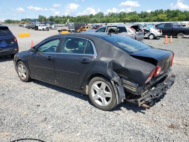 1G1ZB5EBXAF125121 - 2010 CHEVROLET MALIBU LS Boz foto 2