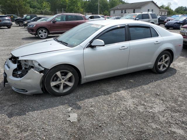 1G1ZC5E18BF185307 - 2011 CHEVROLET MALIBU 1LT 银色 照片 1