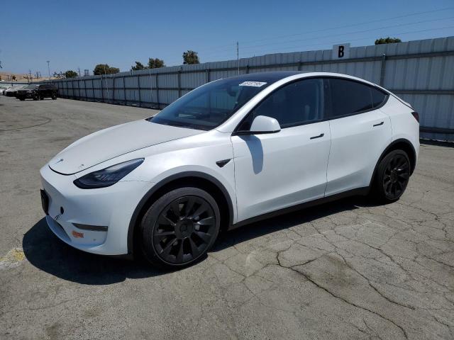 2020 TESLA MODEL Y, 