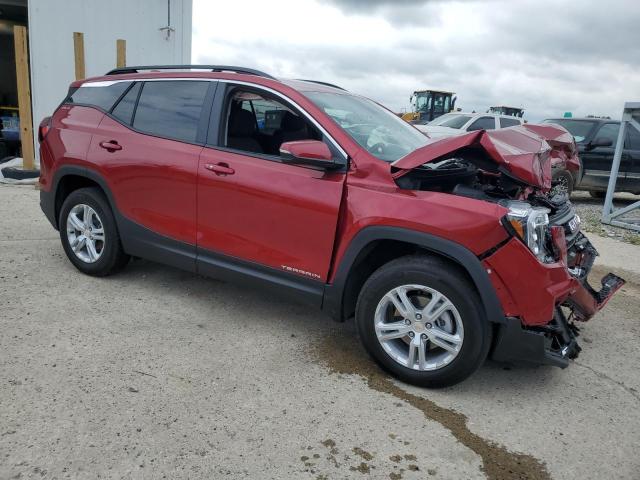 3GKALMEG5RL394771 - 2024 GMC TERRAIN SLE BURGUNDY photo 4