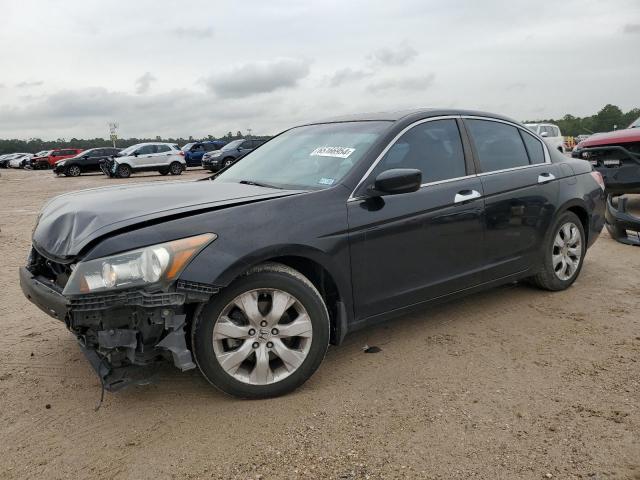 2010 HONDA ACCORD EXL, 