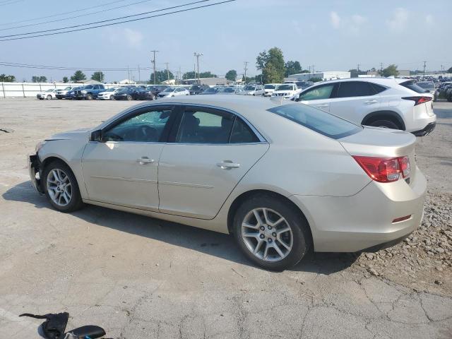 1G11C5SAXDF196765 - 2013 CHEVROLET MALIBU 1LT 米色 照片 2