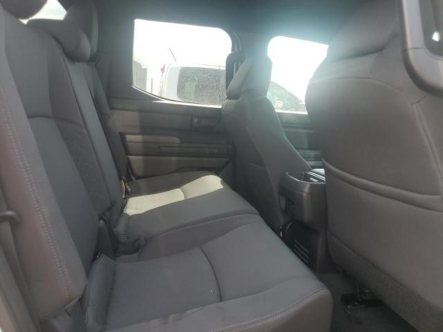 3TYLB5JN3ST073298 - 2025 TOYOTA TACOMA DOUBLE CAB Ağ foto 10