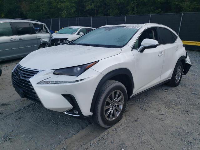JTJDARDZ3M5022480 - 2021 LEXUS NX 300 BASE Ağ foto 1
