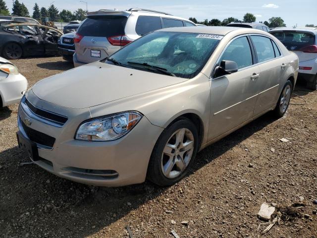 2010 CHEVROLET MALIBU LS, 