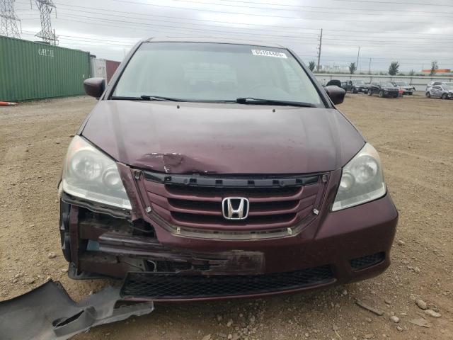 5FNRL3H74AB058486 - 2010 HONDA ODYSSEY EXL BURGUNDY photo 5