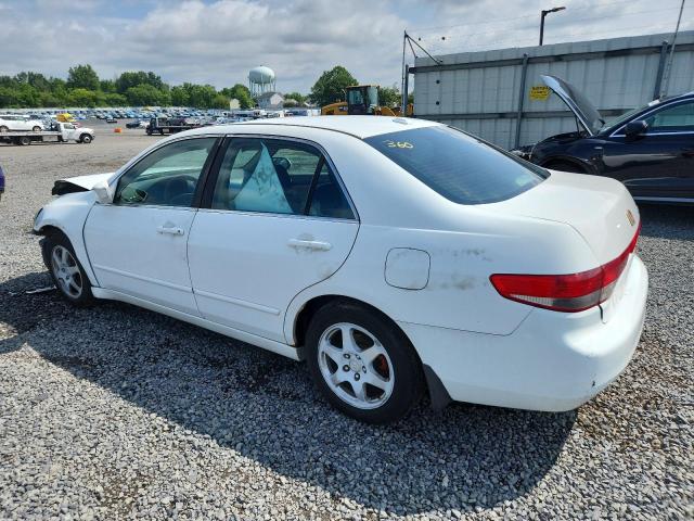 1HGCM56884A076689 - 2004 HONDA ACCORD EX Blanc photo 2
