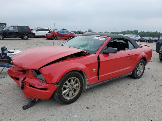 1ZVHT84N395118622 - 2009 FORD MUSTANG RED photo 1