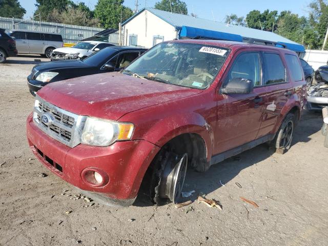2011 FORD ESCAPE XLT, 
