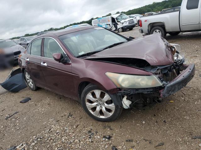 1HGCP2F84AA027149 - 2010 HONDA ACCORD EXL 红色 照片 4