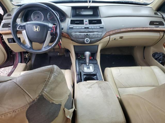 1HGCP2F84AA027149 - 2010 HONDA ACCORD EXL 红色 照片 8
