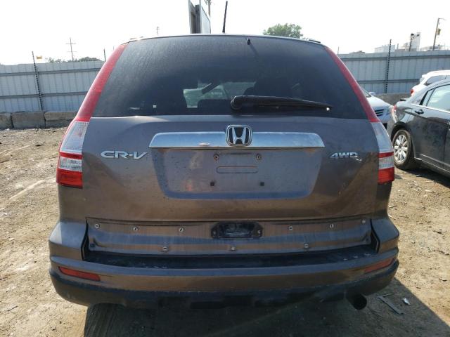 5J6RE4H79AL091359 - 2010 HONDA CR-V EXL GRAY photo 6