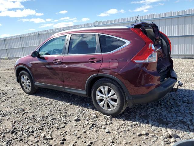 5J6RM4H7XDL074481 - 2013 HONDA CR-V EXL 勃艮第红 照片 2