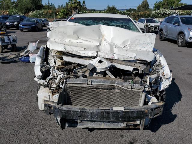 4T1BE46K39U919731 - 2009 TOYOTA CAMRY BASE WHITE photo 5