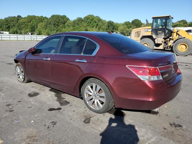 1HGCP3F83BA032169 - 2011 HONDA ACCORD EXL RED photo 2