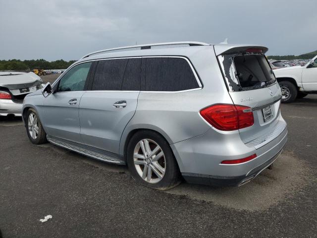 4JGDF7CE5DA206992 - 2013 MERCEDES-BENZ GL 450 4MATIC SILVER photo 2
