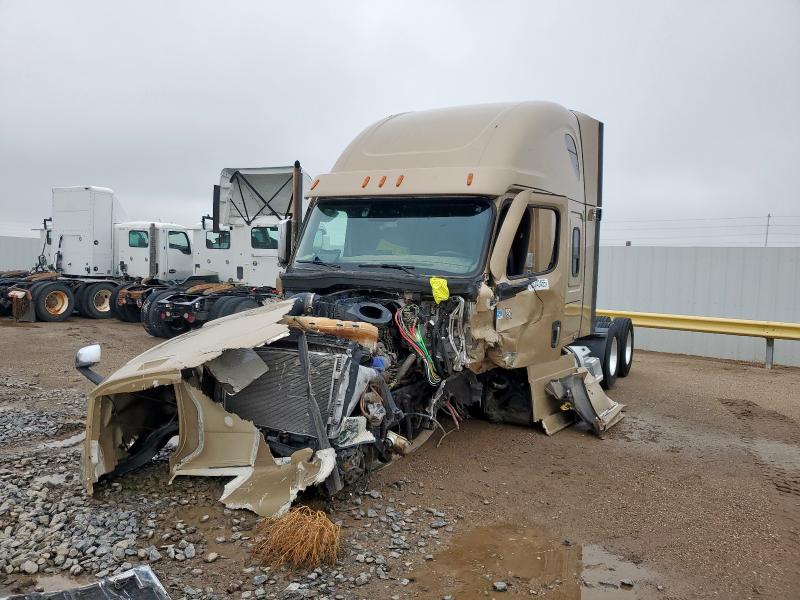 3AKJHHDRXMSMA2710 - 2021 FREIGHTLINER CASCADIA 1 თაფლისფერი ფოტო 2