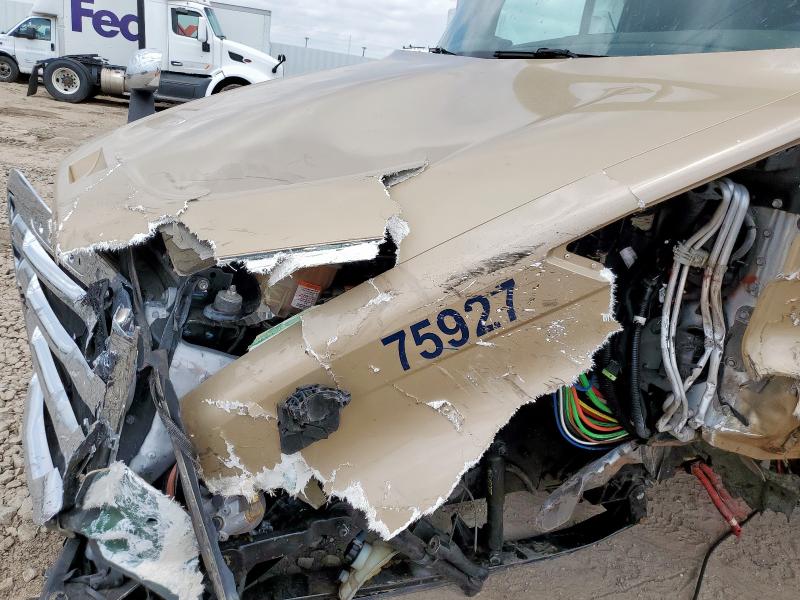 3AKJHHDRXMSMA2710 - 2021 FREIGHTLINER CASCADIA 1 თაფლისფერი ფოტო 7