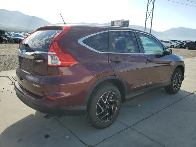 5J6RM4H46GL038930 - 2016 HONDA CR-V SE PURPLE photo 3