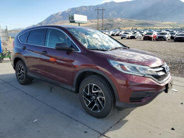 5J6RM4H46GL038930 - 2016 HONDA CR-V SE PURPLE photo 4