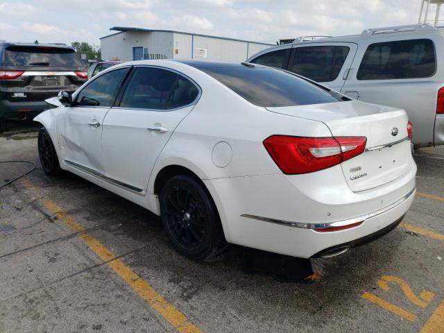 KNALN4D7XE5166336 - 2014 KIA CADENZA PREMIUM WHITE photo 2