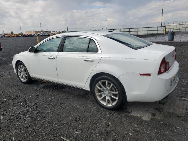 1G1ZK57B69F182201 - 2009 CHEVROLET MALIBU LTZ 白色 照片 2
