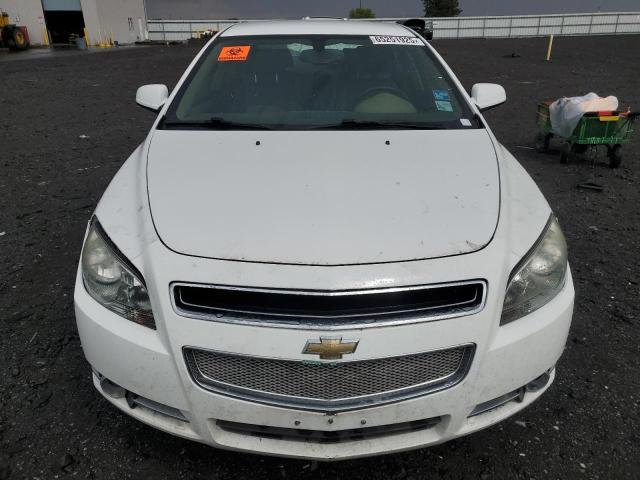 1G1ZK57B69F182201 - 2009 CHEVROLET MALIBU LTZ 白色 照片 5