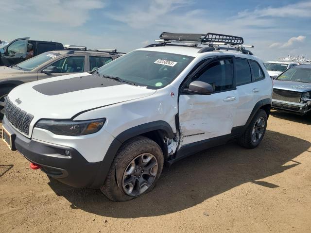 1C4PJMBNXKD489434 - 2019 JEEP CHEROKEE TRAILHAWK Ağ foto 1